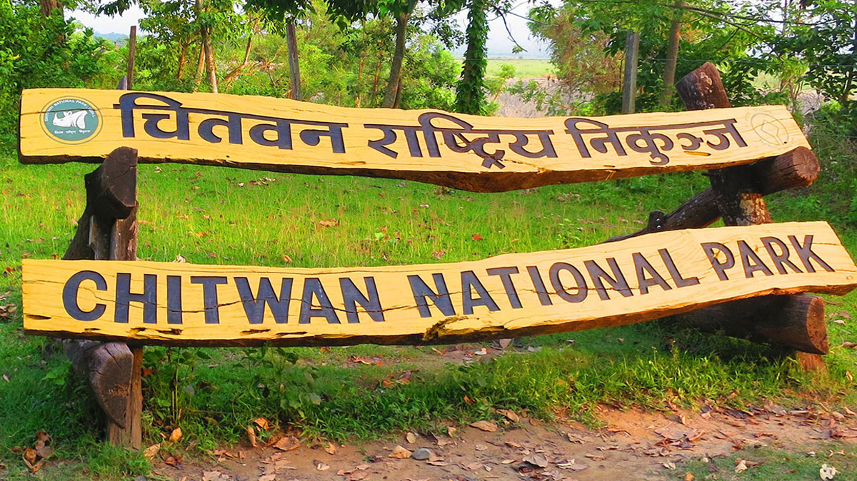 Chitwan National Park near Valmiki Tiger Reserve