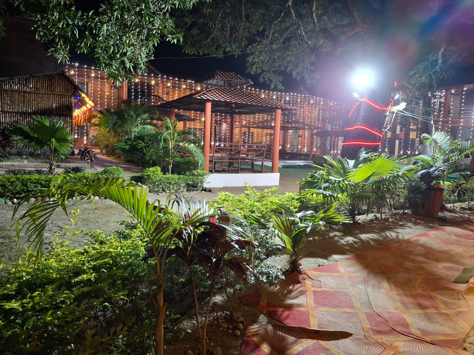 Elephanta Pit Resort near Valmiki Tiger Reserve forest view